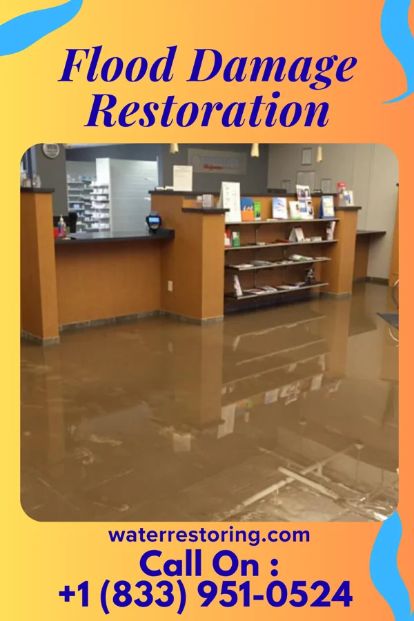 Flood Damage Restoration in Sea Ranch Lakes, FL